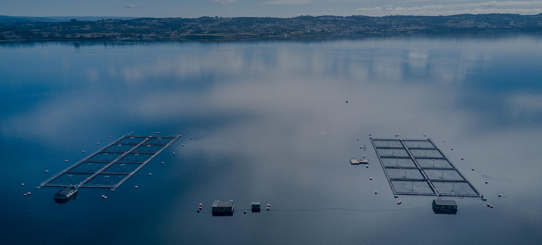 Invermar Empresa productora y exportadora de salmón pacífico y atlántico en Chile