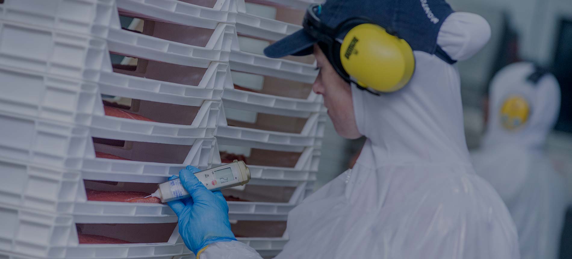 Invermar Empresa productora y exportadora de salmón pacífico y atlántico en Chile