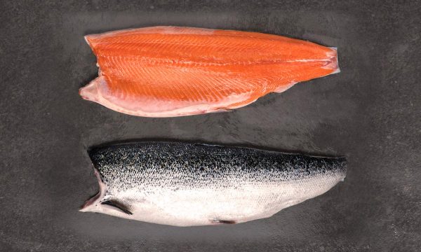 salmón de exportación Invermar, Atlantic salmon from chile