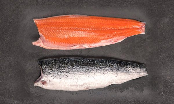 salmón de exportación Invermar, Atlantic salmon from chile