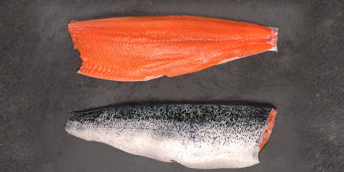 salmón de exportación Invermar, Atlantic salmon from chile