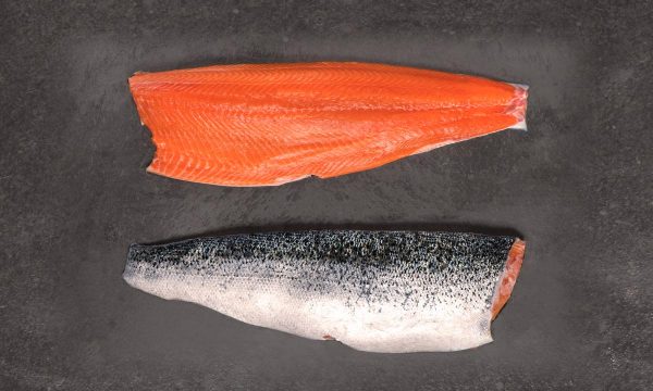 salmón de exportación Invermar, Atlantic salmon from chile