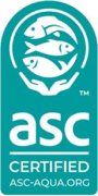 ascnew ascnew